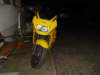 dsc01011_small.jpg