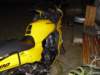 dsc01017_small.jpg