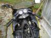 dsc01037_small.jpg