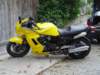 dsc01060_small.jpg