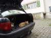 dsc01063_small.jpg