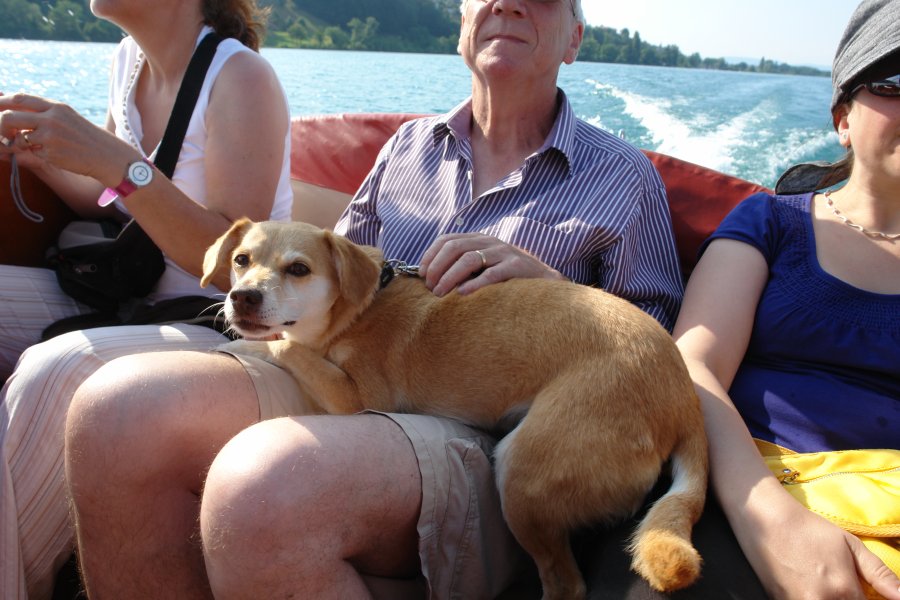 gal/AG24/hallwilersee/DSC08462.JPG
