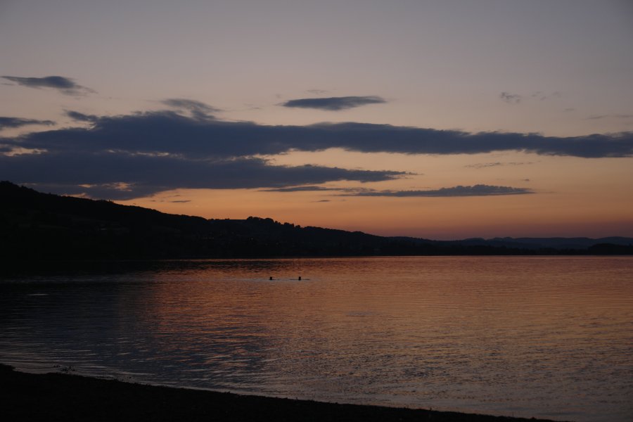 gal/AG24/hallwilersee/DSC08470.JPG