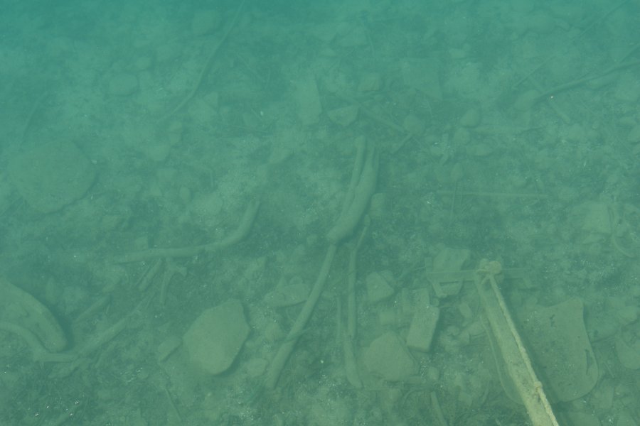 gal/AG24/hallwilersee/DSC08564.JPG