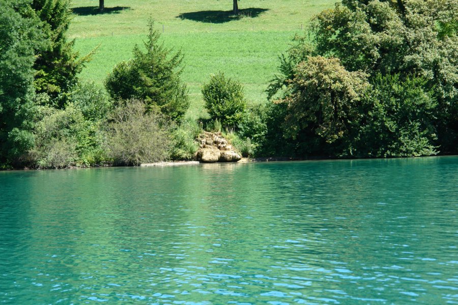 gal/AG24/hallwilersee/DSC08592.JPG