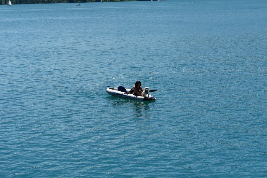 gal/AG24/hallwilersee/DSC08595.JPG