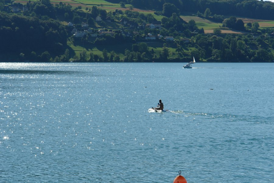 gal/AG24/hallwilersee/DSC08612.JPG
