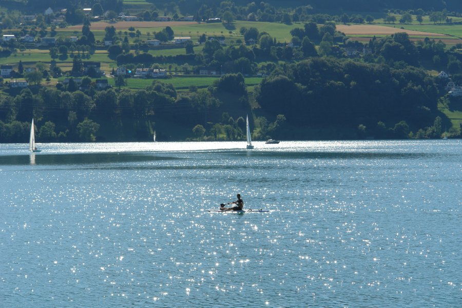 gal/AG24/hallwilersee/DSC08618.JPG