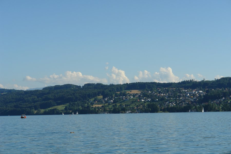 gal/AG24/hallwilersee/DSC08639.JPG