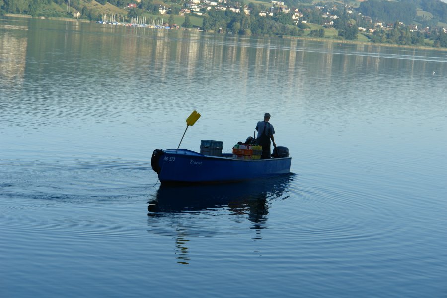 gal/AG24/hallwilersee/DSC08672.JPG