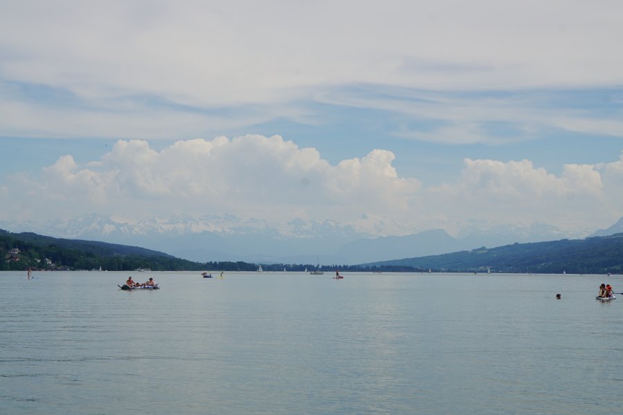 gal/AG24/hallwilersee/DSC09892.JPG