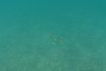 gal/AG24/hallwilersee/_thb_DSC08582.JPG