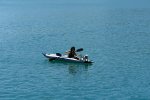 gal/AG24/hallwilersee/_thb_DSC08597.JPG