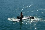 gal/AG24/hallwilersee/_thb_DSC08608.JPG