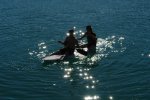 gal/AG24/hallwilersee/_thb_DSC08609.JPG
