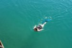 gal/AG24/hallwilersee/_thb_DSC08613.JPG