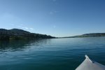 gal/AG24/hallwilersee/_thb_DSC08651.JPG