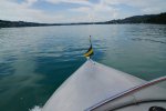 gal/AG24/hallwilersee/_thb_DSC09887.JPG