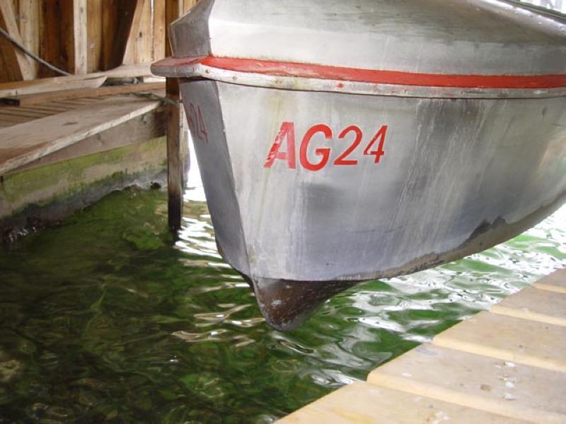 gal/AG24/teil1/DSC06348.jpg