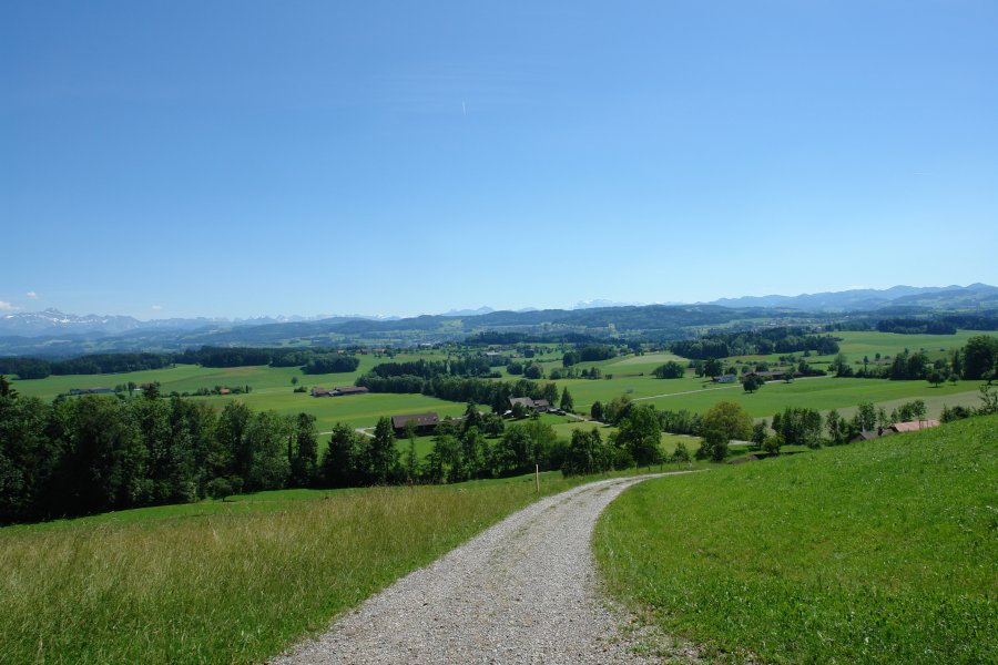 gal/Roerlibad/DSC07383.JPG