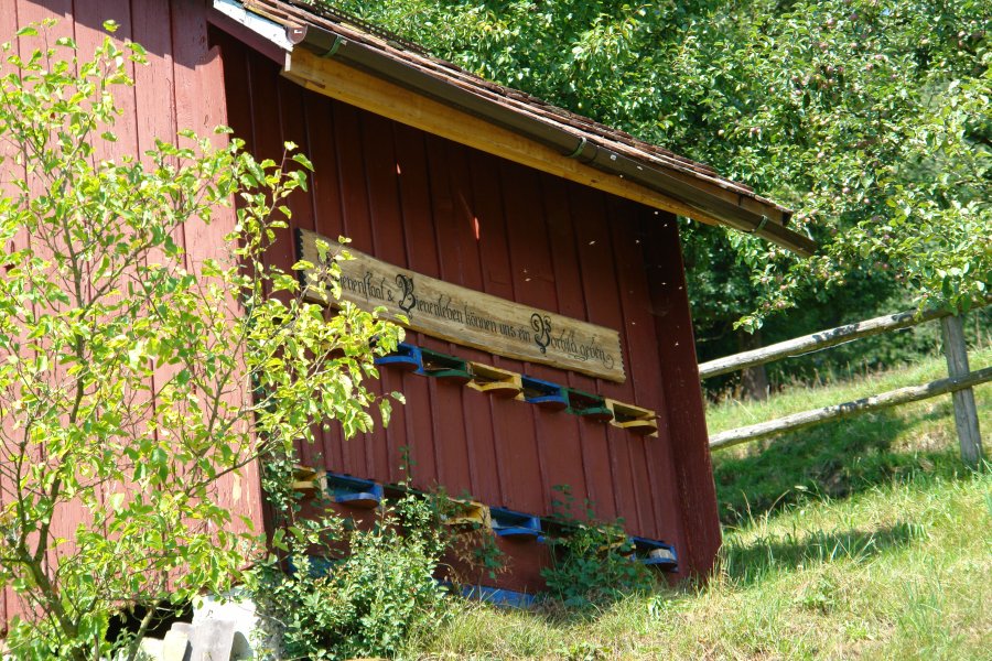gal/Roerlibad/DSC08671.JPG