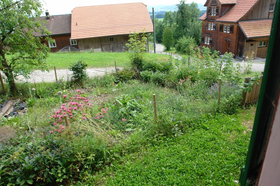 gal/Roerlibad/DSC08748.JPG