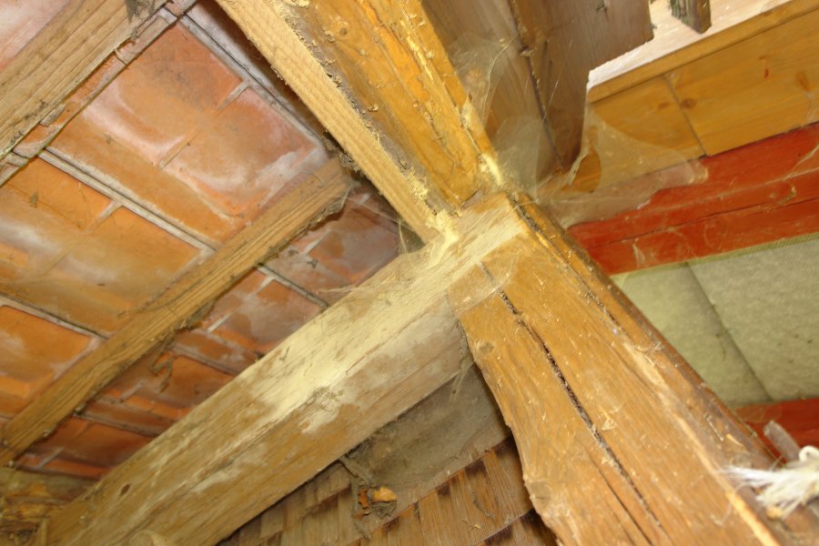 gal/Roerlibad/DSC08879.JPG
