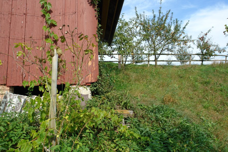 gal/Roerlibad2/DSC00152.JPG