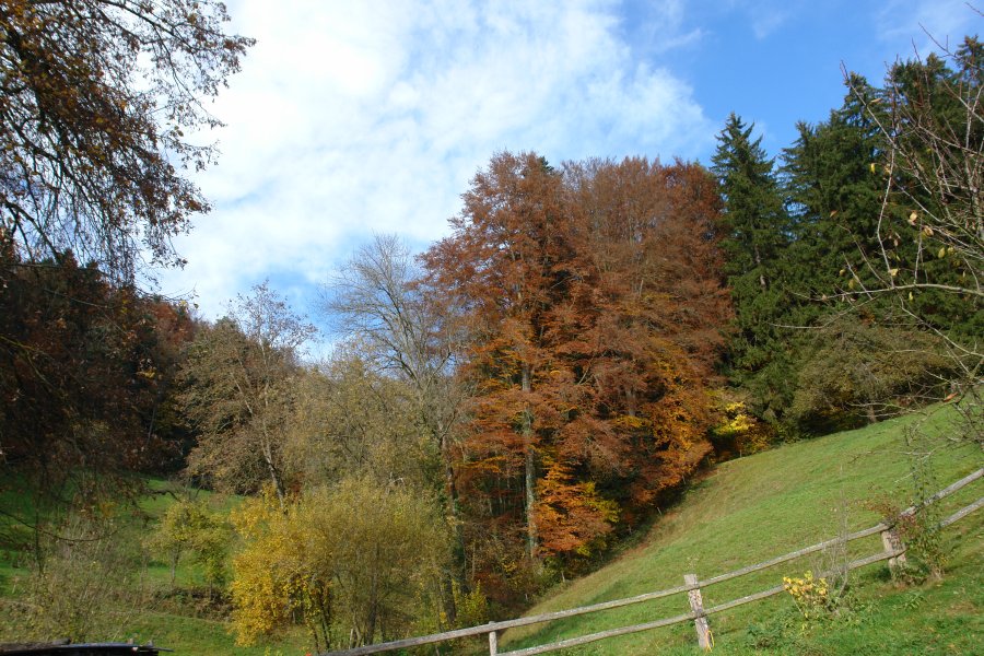 gal/Roerlibad2/DSC01603.JPG