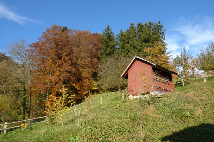 gal/Roerlibad2/DSC01610.JPG