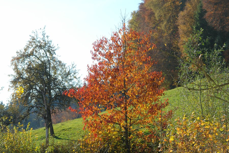 gal/Roerlibad2/DSC01620.JPG