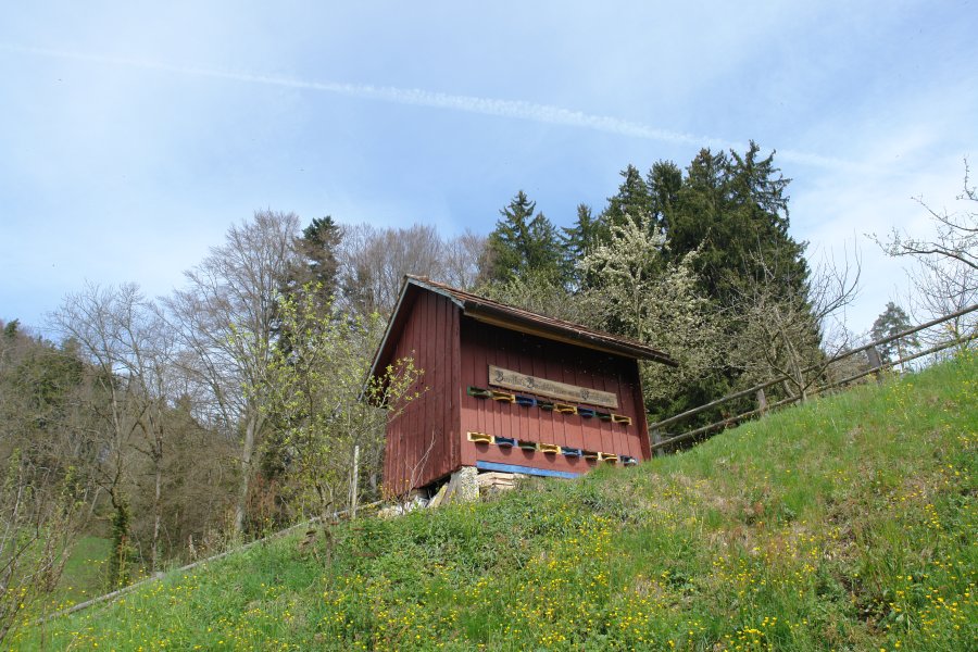 gal/Roerlibad2/DSC04356.JPG