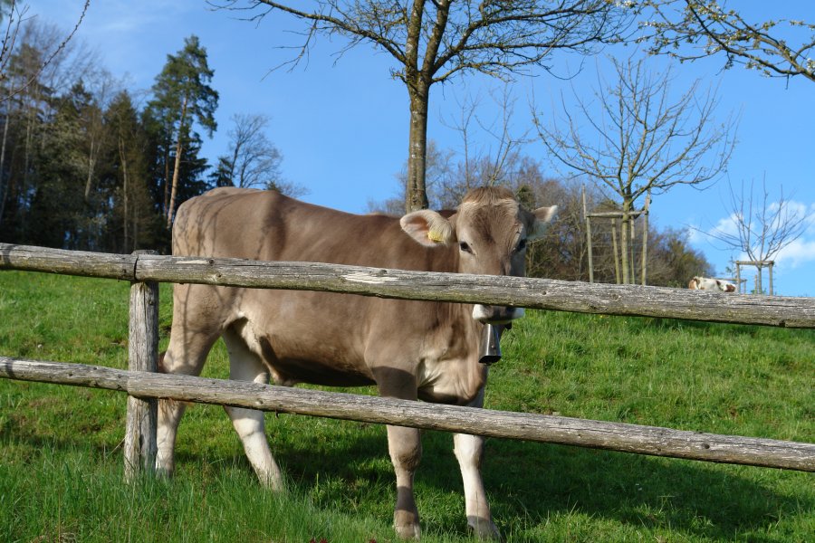 gal/Roerlibad2/DSC04377.JPG