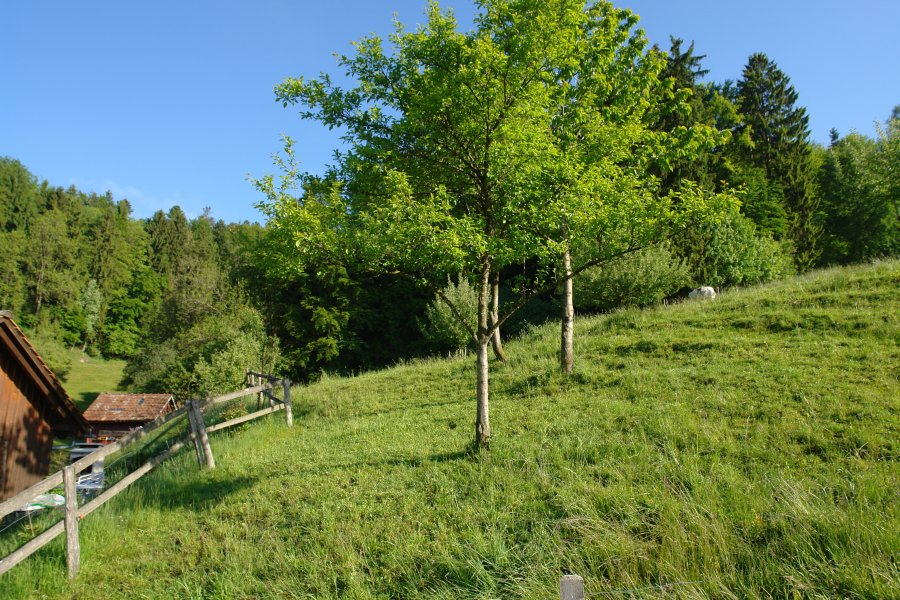gal/Roerlibad2/DSC04558.JPG