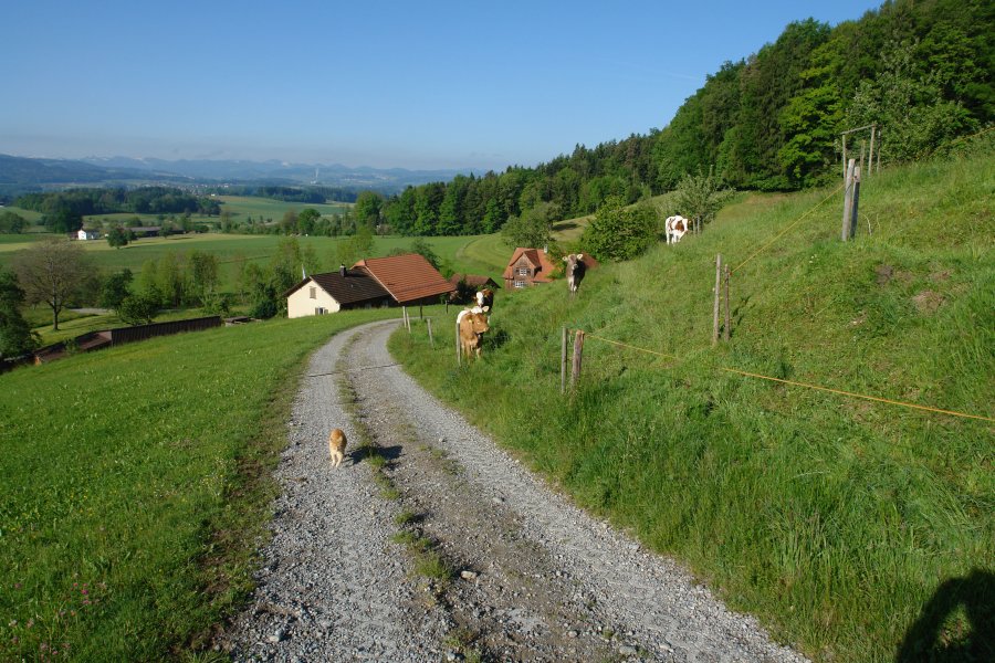 gal/Roerlibad2/DSC04559.JPG