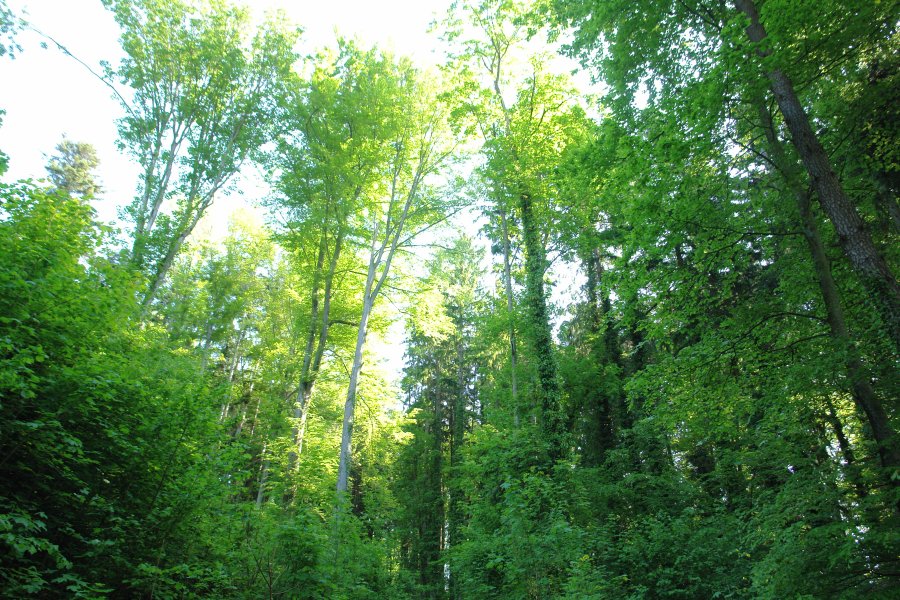 gal/Roerlibad2/DSC04616.JPG