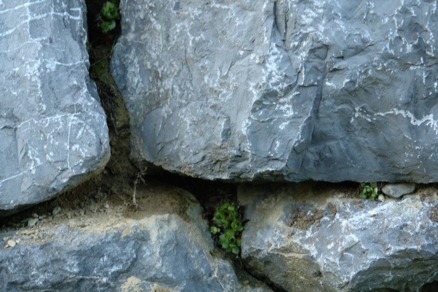 gal/Roerlibad2/DSC04657.JPG