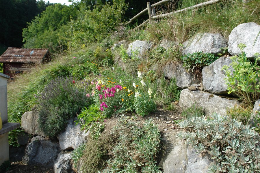 gal/Roerlibad2/DSC05330.JPG