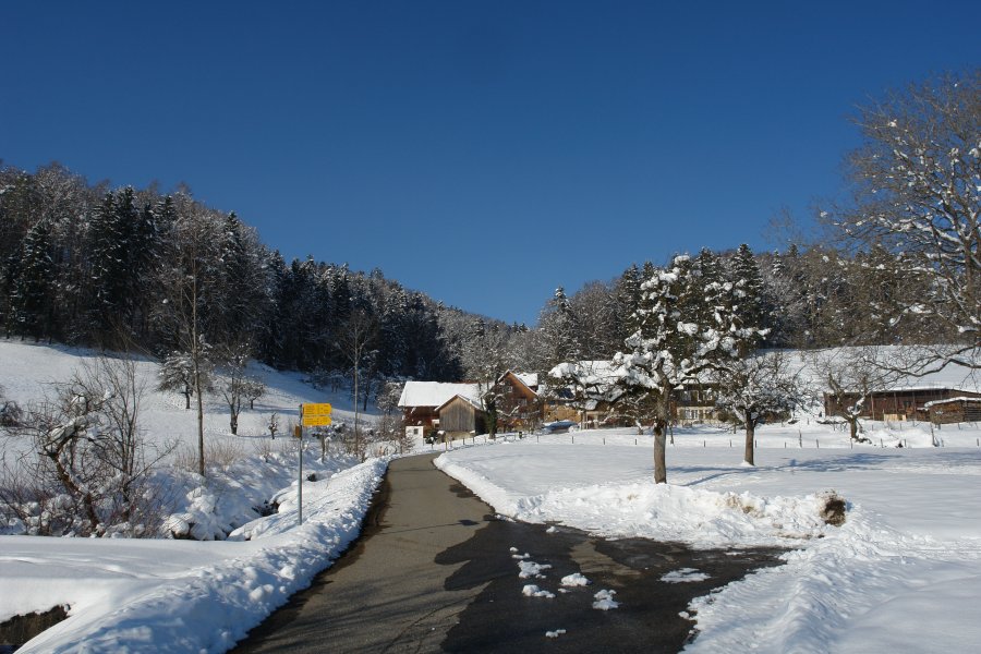 gal/Roerlibad2/DSC07099.JPG