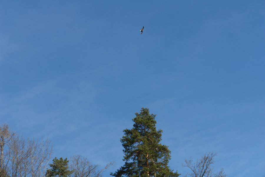 gal/Roerlibad2/DSC07131.JPG