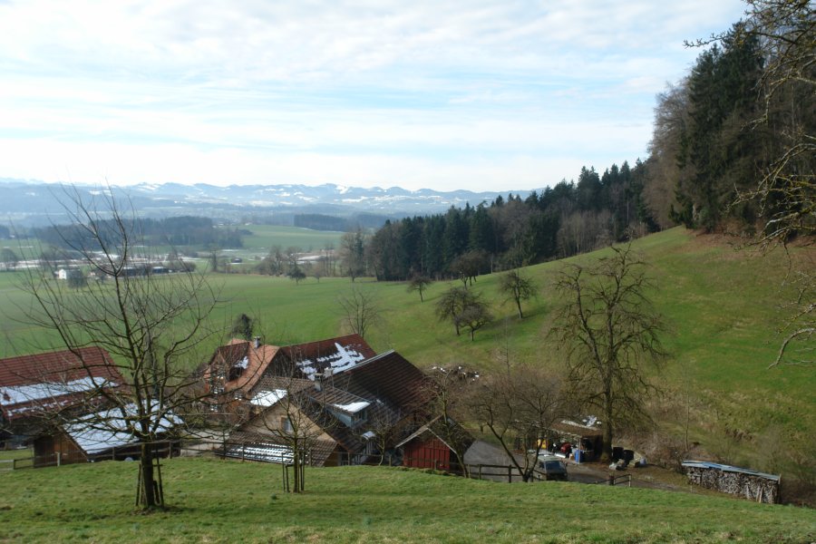 gal/Roerlibad2/DSC07132.JPG