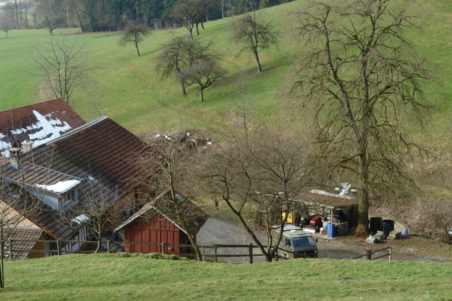 gal/Roerlibad2/DSC07135.JPG