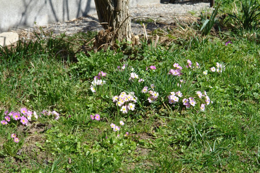 gal/Roerlibad2/DSC07354.JPG