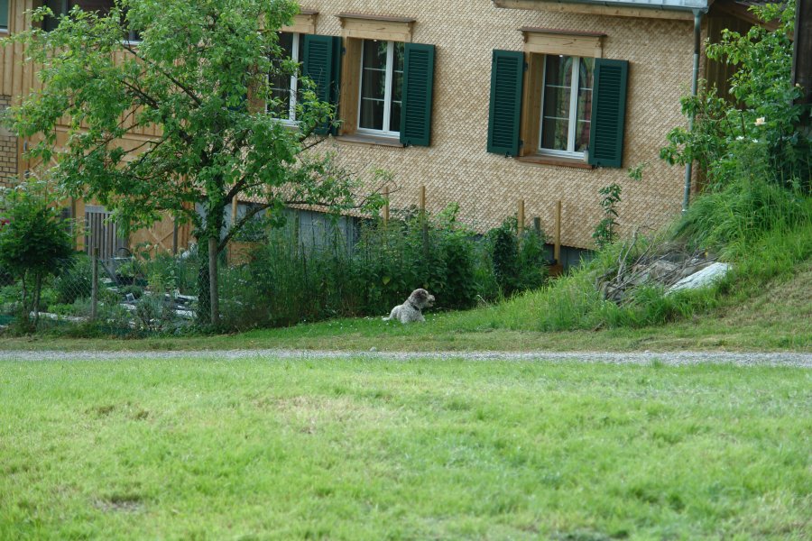 gal/Roerlibad2/DSC08082.JPG