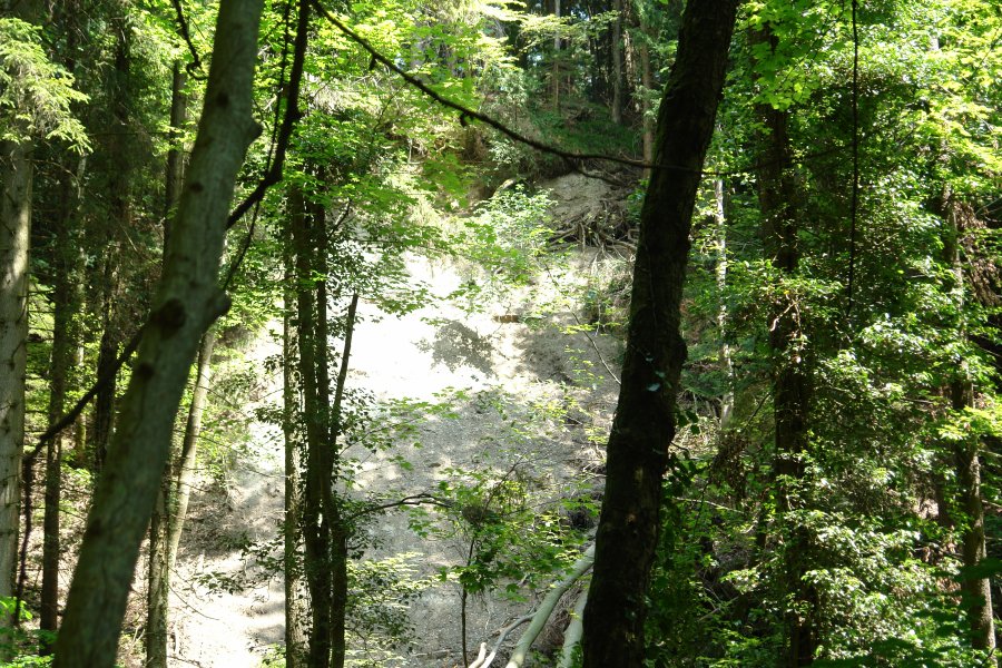 gal/Roerlibad2/DSC08314.JPG