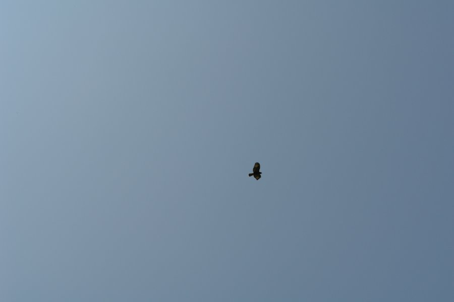 gal/Roerlibad2/DSC08317.JPG