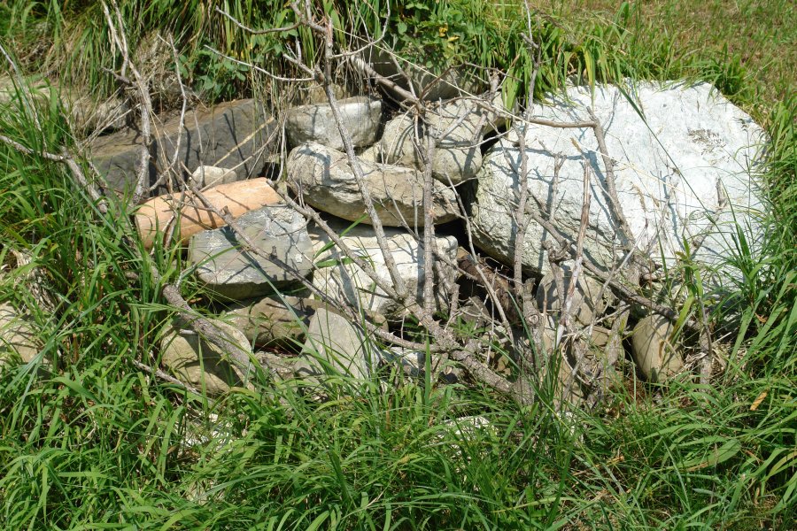 gal/Roerlibad2/DSC08335.JPG