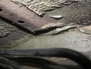gal/bus/Bosnien/bccars/_thb_IMG_2989.JPG