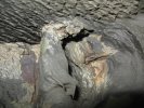 gal/bus/Bosnien/bccars/_thb_IMG_2990.JPG