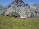 gal/bus/Bus-tourdesuisse-07/SonyW15/_thb_DSC01550.JPG